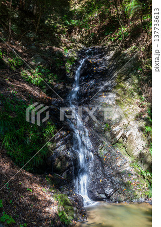 静岡県周智郡森町鍛治島 山里の風景 静岡県周智郡森町鍛治島 山里の風景 137738613