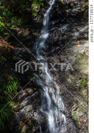 静岡県周智郡森町鍛治島　山里の風景 137738614