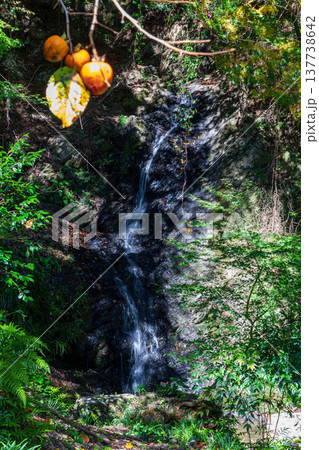 静岡県周智郡森町鍛治島 山里の風景 静岡県周智郡森町鍛治島 山里の風景 137738642