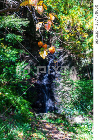 静岡県周智郡森町鍛治島　山里の風景 137738650