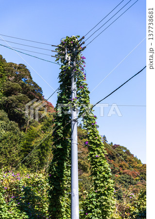 静岡県周智郡森町鍛治島 山里の風景 静岡県周智郡森町鍛治島 山里の風景 137738681
