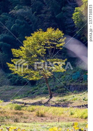 静岡県周智郡森町鍛治島 山里の風景 静岡県周智郡森町鍛治島 山里の風景 137738835