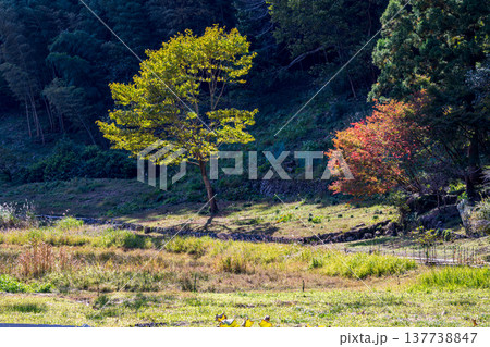 静岡県周智郡森町鍛治島 山里の風景 静岡県周智郡森町鍛治島 山里の風景 137738847