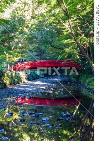 静岡県周智郡森町一宮　小國神社と周辺の風景 137738871