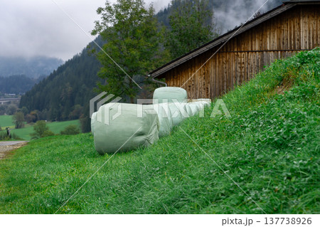 View of haystacks packed in polyethylene, hay harvesting for the winter View of haystacks packed in polyethylene, hay harvesting for the winter 137738926