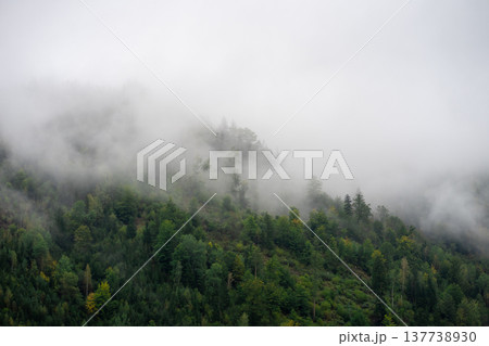 Alpine mountains covered with forests in the morning fog Alpine mountains covered with forests in the morning fog 137738930