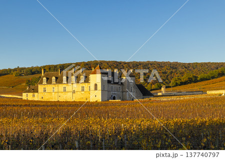 Chateau du Clos de Vougeot standing among autumn vineyards in Burgundy, France 137740797