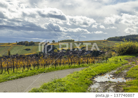 Hunawihr village and vineyard landscape in autumn, Grand Est Hunawihr village and vineyard landscape in autumn, Grand Est 137740807