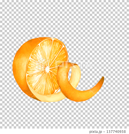 Hand drawn illustration of juicy orange citrus slice and orange peel zest. Botanical fruit element for juice packaging, cafe menus, and healthy food design. 137740938