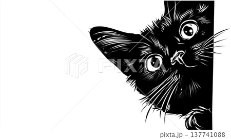 Black cat peeking with big curious eyes. Black domestic cat peeking from the side with wide, observing eyes 137741088