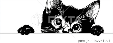 Black cat peeking with big curious eyes. Black domestic cat peeking from the side with wide, observing eyes Black cat peeking with big curious eyes. Black domestic cat peeking from the side with wide, observing eyes 137741091