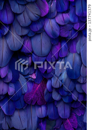 Purple and blue feathers creating abstract texture background. Overlapping purple and blue feathers creating a soft, natural, and rich textural pattern Purple and blue feathers creating abstract texture background. Overlapping purple and blue feathers creating a soft, natural, and rich textural pattern 137741379