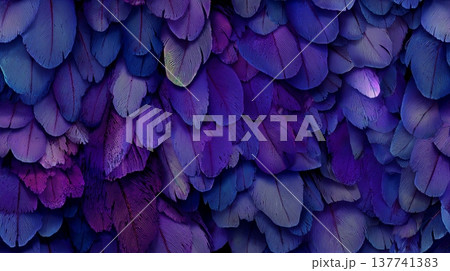 Purple and blue feathers creating abstract texture background. Overlapping purple and blue feathers creating a soft, natural, and rich textural pattern Purple and blue feathers creating abstract texture background. Overlapping purple and blue feathers creating a soft, natural, and rich textural pattern 137741383