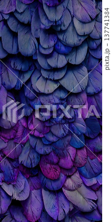 Purple and blue feathers creating abstract texture background. Overlapping purple and blue feathers creating a soft, natural, and rich textural pattern Purple and blue feathers creating abstract texture background. Overlapping purple and blue feathers creating a soft, natural, and rich textural pattern 137741384