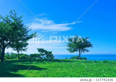 夏の風景　〜高台の草原と青い海〜 137741836