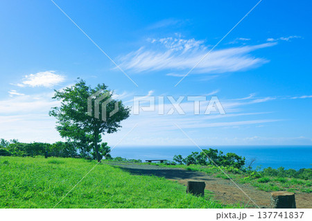 夏の風景　〜高台の公園と青い海と夏の空〜 137741837