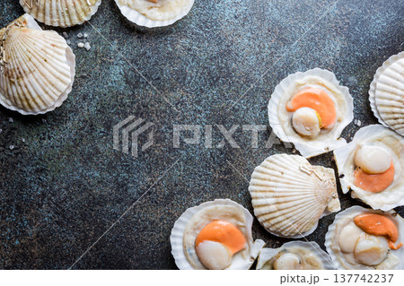 raw fresh scallops 137742237