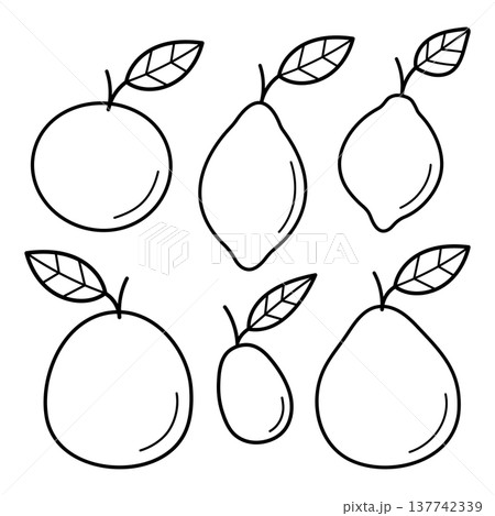 Citrus fruits doodles set. Orange, lemon, lime, grapefruit, pomelo, kumquat. Hand drawn sketch icon. Isolated vector illustration. Citrus fruits doodles set. Orange, lemon, lime, grapefruit, pomelo, kumquat. Hand drawn sketch icon. Isolated vector illustration. 137742339