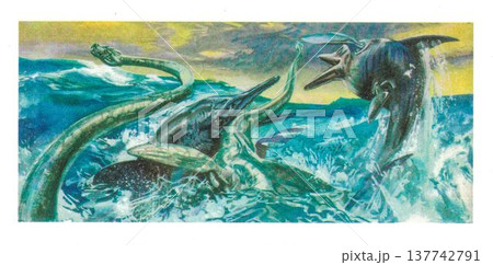 Look and discover prehistoric animals. Prehistoric aquatic animals. Prehistoric aquatic animals. The Tethys Ocean , also called the Tethys Sea or the Neo-Tethys, was a prehistoric ocean during much of Look and discover prehistoric animals. Prehistoric aquatic animals. Prehistoric aquatic animals. The Tethys Ocean , also called the Tethys Sea or the Neo-Tethys, was a prehistoric ocean during much of 137742791