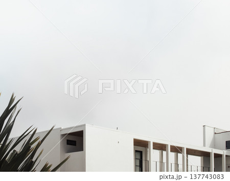 Modern minimal architecture with tropical plant Modern minimal architecture with tropical plant 137743083