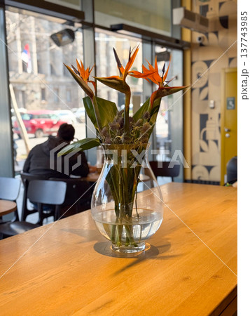 Bird of paradise flowers stand in a glass vase on a communal cafe table. Warm design, stillness, natural accent, and the welcoming mood of a stylish interior. Bird of paradise flowers stand in a glass vase on a communal cafe table. Warm design, stillness, natural accent, and the welcoming mood of a stylish interior. 137743985