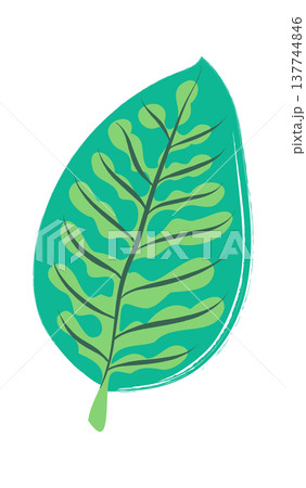 Leaf With Vein Detail Hand Drawn Leaf With Vein Detail Hand Drawn 137744846