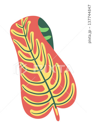 Leaf Monstera Abstract Botanical 137744847