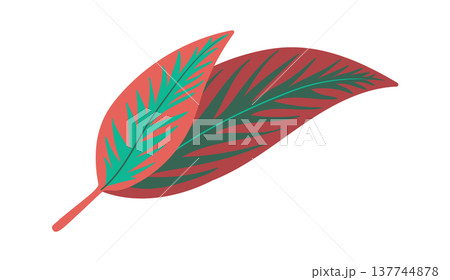 Leaf Pair Overlap Botanical 137744878