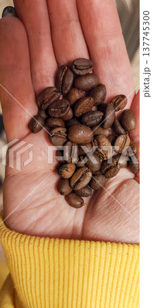 Close-up of Roasted Coffee Beans Held in a Human Palm 137745300