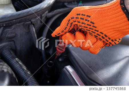 A hand clad in an orange glove carefully checks the oil level in a car engine, showcasing attention to mechanical details 137745868