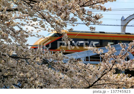 隅田川の桜を眺め征く…  東武特急【スペーシア】100系 137745923