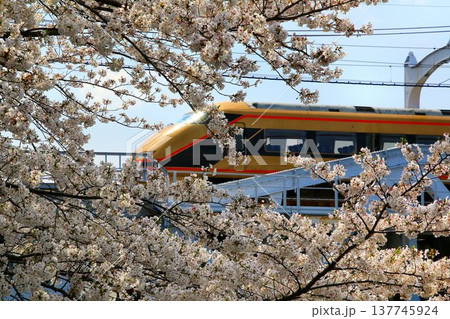 隅田川の桜を眺め征く…  東武特急【スペーシア】100系 137745924