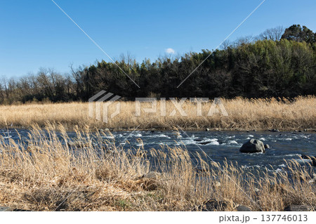 早春の吾妻川 小野上温泉公園より 早春の吾妻川 小野上温泉公園より 137746013
