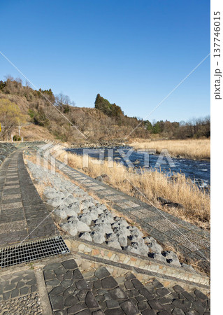 早春の吾妻川　小野上温泉公園より 137746015