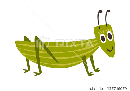 Funny green grasshopper smiling character Funny green grasshopper smiling character 137746079