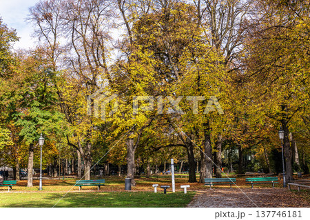 Golden autumn view at Konigsplatz - Kings Square, state capital Munich, Bavaria, Munich, Germany Golden autumn view at Konigsplatz - Kings Square, state capital Munich, Bavaria, Munich, Germany 137746181