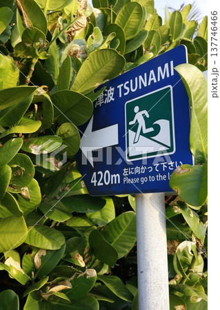 津波避難誘導を示す防災標識と避難方向案内看板。 137746466