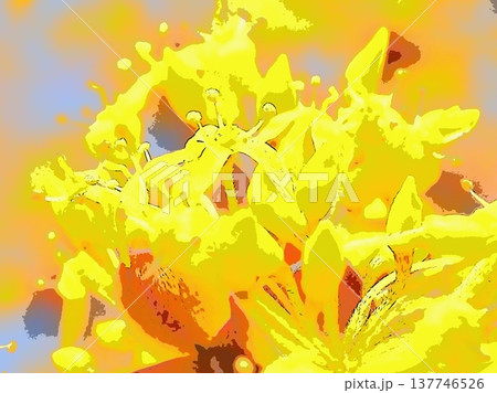 春黄金花（afr20260227132654） 137746526