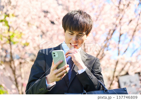 スマホを見て頭を抱え、苦悩する若いビジネスマン 桜咲く公園 上半身 スマホを見て頭を抱え、苦悩する若いビジネスマン 桜咲く公園 上半身 137746809