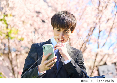 スマホを見て頭を抱え、苦悩する若いビジネスマン 桜咲く公園 上半身 137746810
