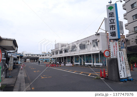 東京都中央卸売市場 足立市場（東京都足立区） 137747076