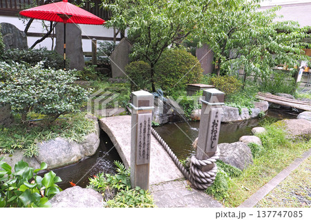 素盞雄神社(東京都荒川区) 素盞雄神社(東京都荒川区) 137747085