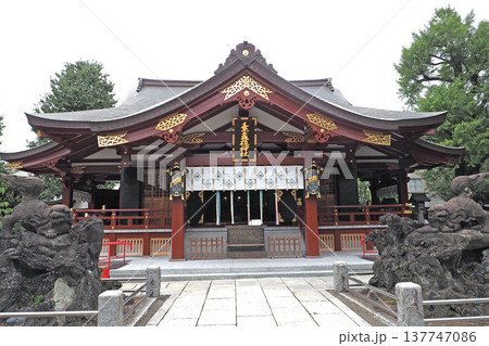 素盞雄神社(東京都荒川区) 素盞雄神社(東京都荒川区) 137747086