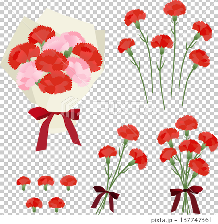 母の日の赤いカーネーションの花束ベクターイラストセット 137747361