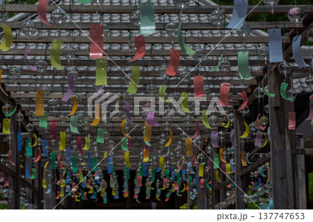 京都府綾部市の東光院の風鈴を撮影したもの 137747653