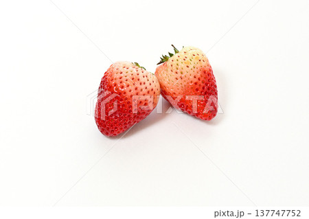 イチゴ (栃木県産とちあいか) イチゴ (栃木県産とちあいか) 137747752