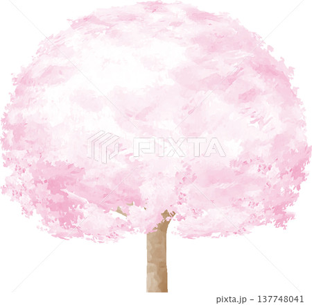 満開の桜の木　春　水彩画イラスト、手描き、春のお花見や背景素材、和風デザイン 137748041