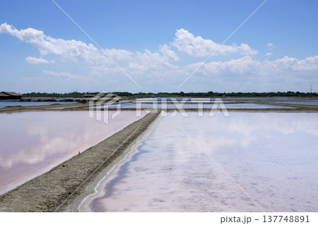 salt farm salt farm 137748891