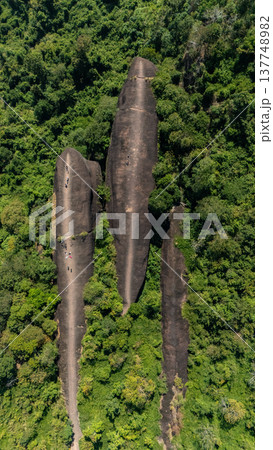High angle view of an iconic Three Whales Rock in Thai called Hin Sam Wan a 75-million-year-old rock formation protruding out of a mountain in Phou Sing, Bueng Kan Province, Thailand. 137748982