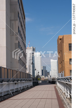 山下臨港線プロムナードの風景 山下臨港線プロムナードの風景 137749067